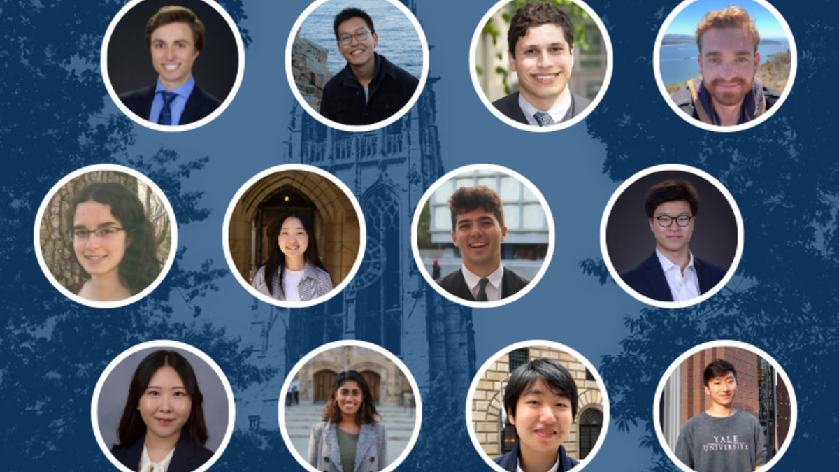 yale political science senior essay prizes